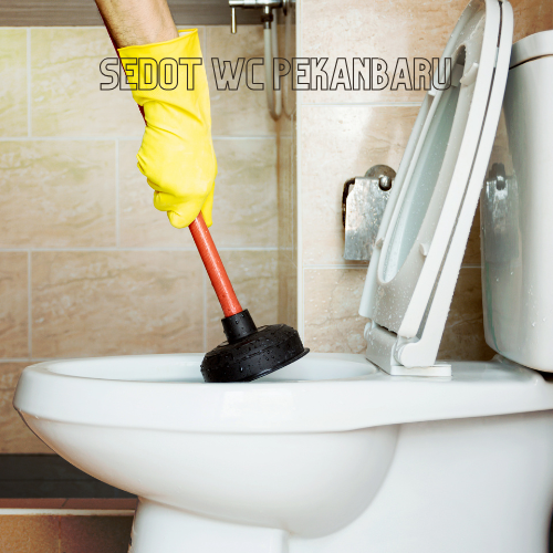jasa sedot wc pekanbaru