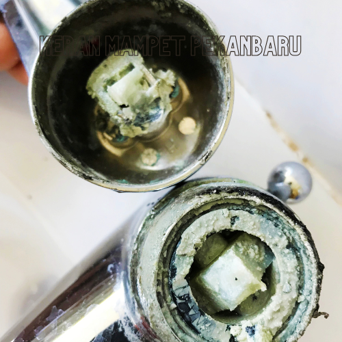 jasa sedot wc pekanbaru