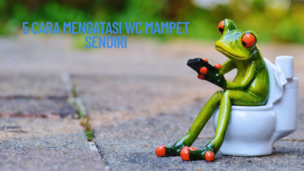 Cara Mengatasi WC Mampet